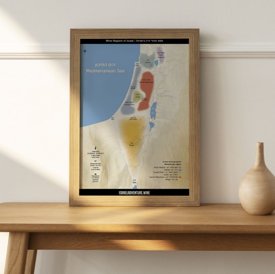 Vin Plakat - Israelske vinregioner